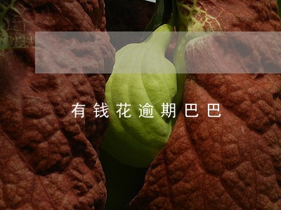 有钱花逾期巴巴 有钱花逾期巴巴