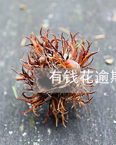 有钱花逾期强制弹窗 有钱花逾期强制弹窗