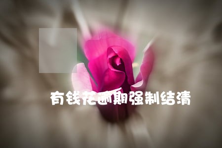 有钱花逾期强制结清 有钱花逾期强制结清