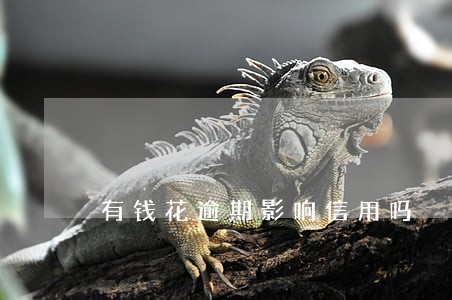 有钱花逾期影响信用吗