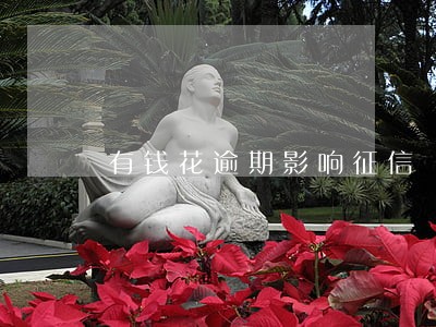 有钱花逾期影响征信 有钱花逾期影响征信