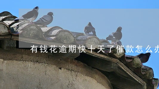 有钱花逾期快十天了催款怎么办 有钱花逾期快十天了催款怎么办
