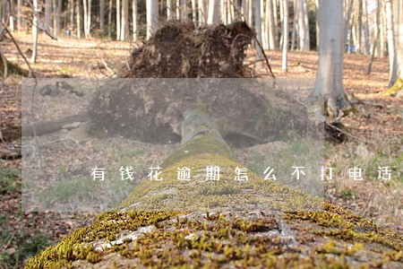 有钱花逾期怎么不打电话 有钱花逾期怎么不打电话