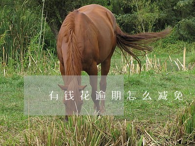 有钱花逾期怎么减免 有钱花逾期怎么减免