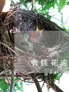 有钱花逾期怎么强制上岸 有钱花逾期怎么强制上岸