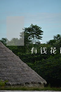 有钱花逾期怎么申请延期还款1年 有钱花逾期怎么申请延期还款1年