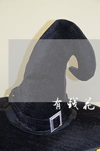 有钱花逾期怎么申请延长分期 有钱花逾期怎么申请延长分期
