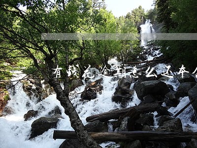 有钱花逾期怎么还本金