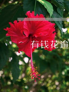 有钱花逾期打谁的电话 有钱花逾期打谁的电话