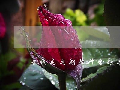 有钱花逾期投诉金融办 有钱花逾期投诉金融办