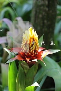 有钱花逾期收到短信说正在调解 有钱花逾期收到短信说正在调解