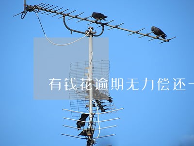 有钱花逾期无力偿还一直打电话