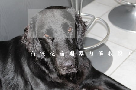 有钱花逾期暴力催收投诉 有钱花逾期暴力催收投诉
