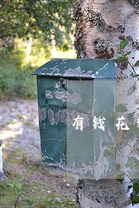 有钱花逾期最严重的后果 有钱花逾期最严重的后果