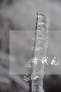 有钱花逾期有没有减免 有钱花逾期有没有减免