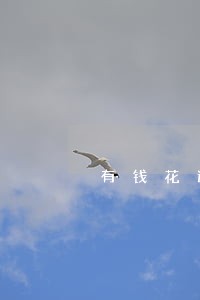 有钱花逾期本人回家会不会被发现 有钱花逾期本人回家会不会被发现