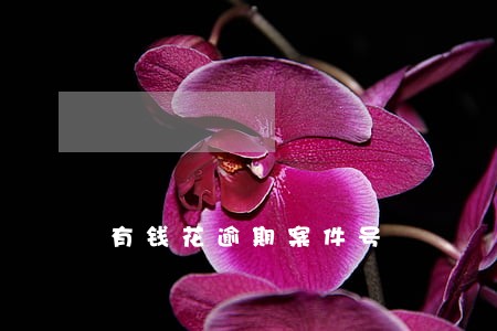 有钱花逾期案件号 有钱花逾期案件号