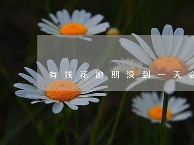 有钱花逾期没到一天会上征信吗 有钱花逾期没到一天会上征信吗