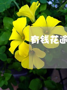 有钱花逾期没钱还会被上门吗 有钱花逾期没钱还会被上门吗