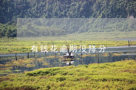 有钱花逾期没降分 有钱花逾期没降分