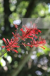 有钱花逾期率利 有钱花逾期率利