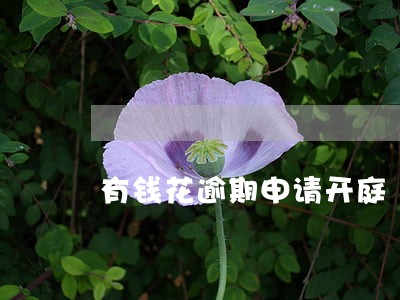 有钱花逾期申请开庭 有钱花逾期申请开庭