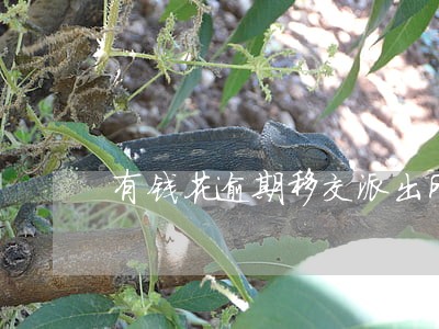 有钱花逾期移交派出所 有钱花逾期移交派出所