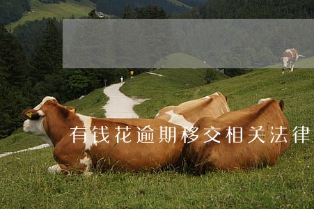 有钱花逾期移交相关法律部门 有钱花逾期移交相关法律部门