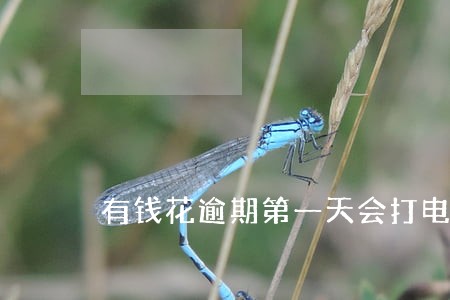 有钱花逾期第一天会打电话么