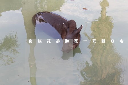 有钱花逾期第一天就打电话 有钱花逾期第一天就打电话