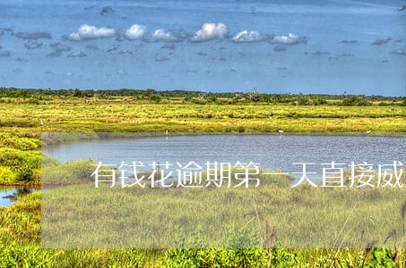 有钱花逾期第一天直接威胁我 有钱花逾期第一天直接威胁我
