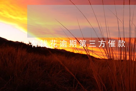 有钱花逾期第三方催款 有钱花逾期第三方催款