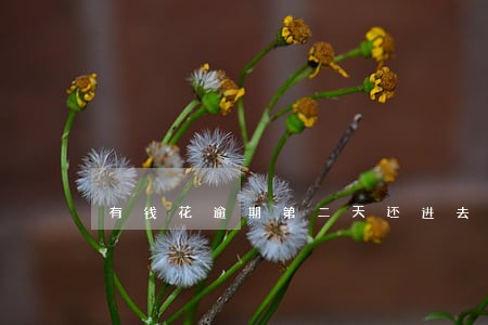 有钱花逾期第二天还进去有事吗 有钱花逾期第二天还进去有事吗