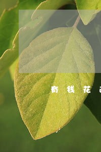 有钱花逾期给村委打电话犯法吗 有钱花逾期给村委打电话犯法吗