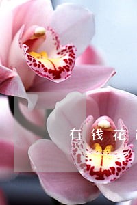 有钱花逾期网络仲裁 有钱花逾期网络仲裁
