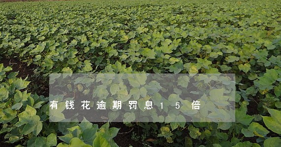 有钱花逾期罚息15倍 有钱花逾期罚息15倍