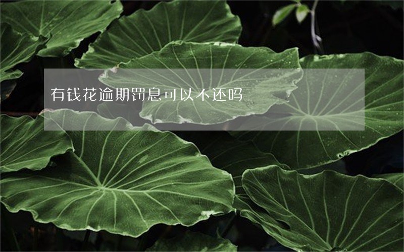 有钱花逾期罚息可以不还吗 有钱花逾期罚息可以不还吗
