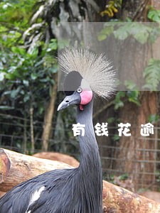 有钱花逾期罚息可以协商吗 有钱花逾期罚息可以协商吗