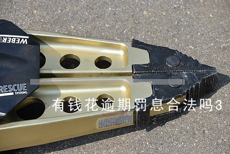 有钱花逾期罚息合法吗315投诉