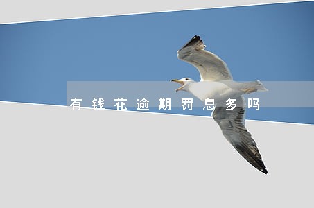 有钱花逾期罚息多吗 有钱花逾期罚息多吗