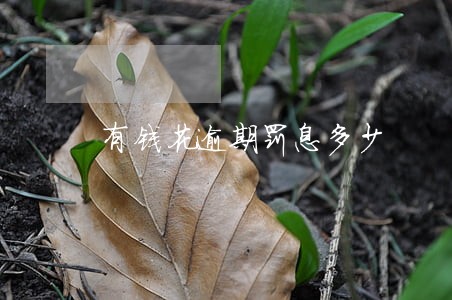 有钱花逾期罚息多少 有钱花逾期罚息多少