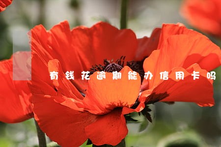 有钱花逾期能办信用卡吗