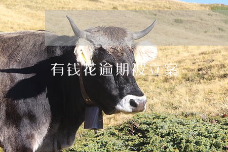 有钱花逾期被立案 有钱花逾期被立案