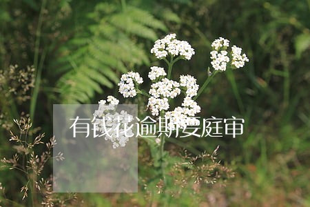 有钱花逾期要庭审 有钱花逾期要庭审