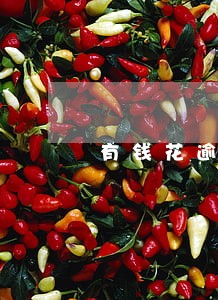 有钱花逾期让提前还款 有钱花逾期让提前还款