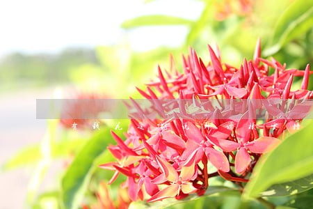 有钱花逾期说外访核实情况 有钱花逾期说外访核实情况