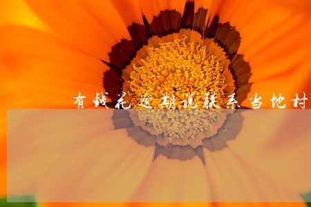 有钱花逾期说联系当地村委会了 有钱花逾期说联系当地村委会了