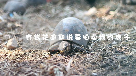 有钱花逾期说要拍卖我的房子 有钱花逾期说要拍卖我的房子