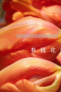 有钱花逾期说让去村委会真的假的 有钱花逾期说让去村委会真的假的
