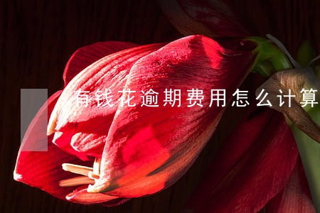 有钱花逾期费用怎么计算的 有钱花逾期费用怎么计算的